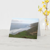 トマズポイントアットポイントレイズナショナルシーショア カード (黄色い花)