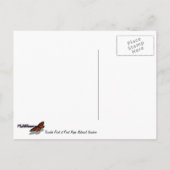 トマズポイントアットポイントレイズナショナルシーショア ポストカード (裏面)