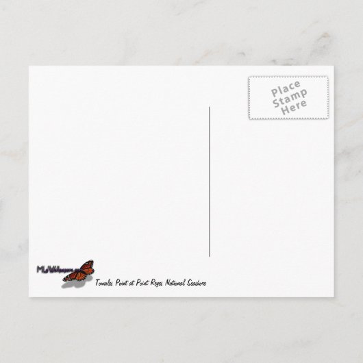 トマズポイントアットポイントレイズナショナルシーショア ポストカード (裏面)