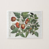 トマトおよびメロン: 1.Poma amorisのfructuのluteo; 2 ジグソーパズル (横)