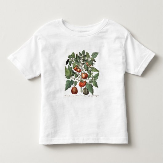 トマトおよびメロン: 1.Poma amorisのfructuのluteo; 2 トドラーTシャツ (正面)