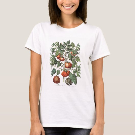 トマトとメロン: 1.Poma amoris fructu luteo; 2 Tシャツ (正面)