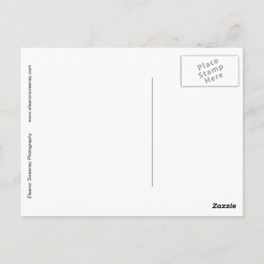 「トマトとレース」デジタルで変更された静物生活 ポストカード (裏面)