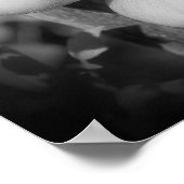 トマトのつる植物白黒抽象芸術 ポスター (角)