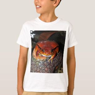 トマトのカエル Tシャツ