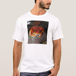 トマトのカエル Tシャツ