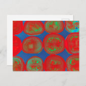 トマトのスライス ポストカード (正面/裏面)