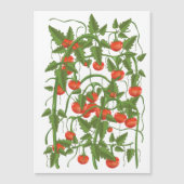 トマトの柄 (正面)