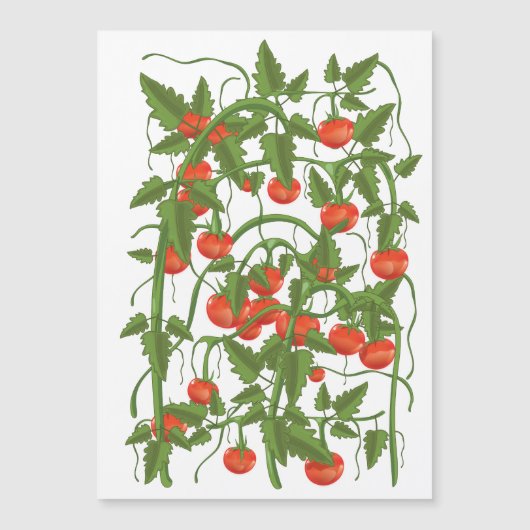 トマトの柄 (正面)