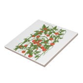 トマトの柄 タイル (側面)