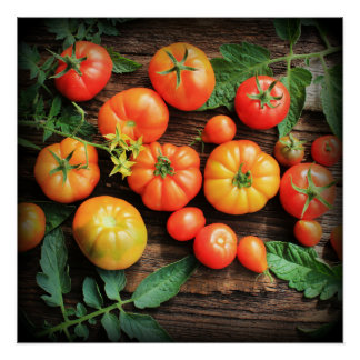 トマトの背景 ポスター