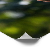 トマトを持つ庭師プリント ポスター (角)