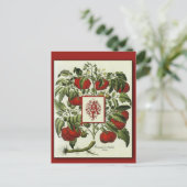 トマトアートカードにヴィンテージAモノグラム ポストカード (スタンド正面)