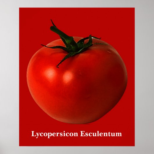 トマトアートポスター ポスター (正面)