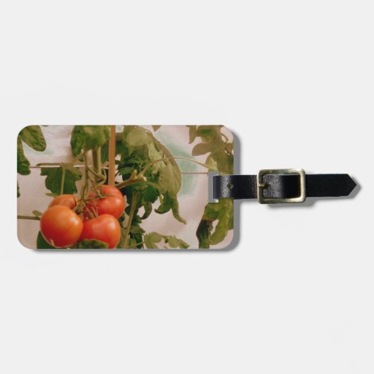 トマトオンつる植物 ラゲッジタグ (正面横)