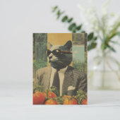 トマトガーデンにサングラスをかけたスーツの猫 ポストカード (スタンド正面)