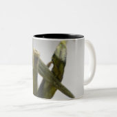 トマトコーヒーマグ ツートーンマグカップ (正面右)