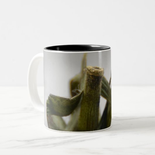 トマトコーヒーマグ ツートーンマグカップ (正面左)