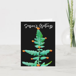 トマトツリーフォト季節のごあいさつカード ノートカード