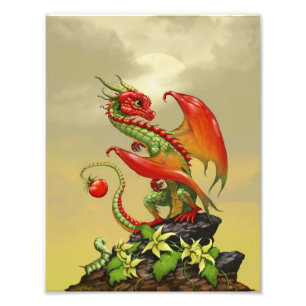トマトドラゴン8.5x11プリント フォトプリント           