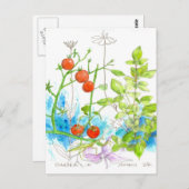 トマトバジルガーデン祈ズマンチスアート ポストカード (正面/裏面)