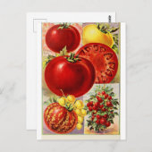 トマトフルーツ野菜植物性ヴィンテージ葉書 ポストカード (正面/裏面)