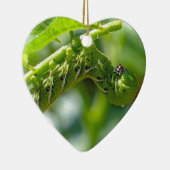 トマトホーンワーム セラミックオーナメント (右)