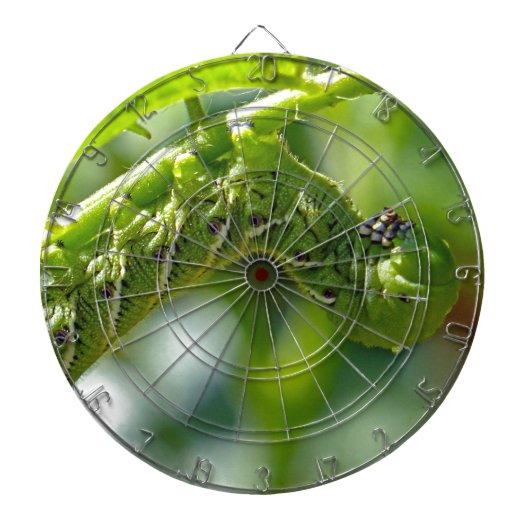 トマトホーンワーム ダーツボード (正面)