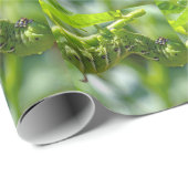 トマトホーンワーム ラッピングペーパー (ロールコーナー)