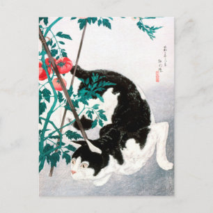トマト入り猫(1931年)高橋宏明 ポストカード