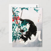 トマト入り猫（1931年）高橋宏明 ポストカード (正面/裏面)