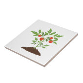 トマト工場 タイル (側面)