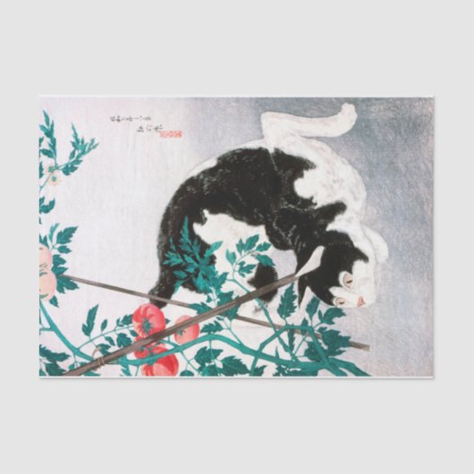 トマト植物の猫（1931年）高橋弘明著 薄葉紙 (正面)