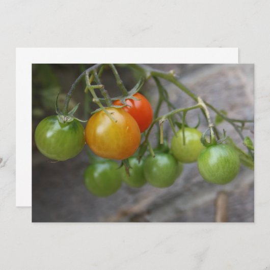 トマト植物招待状 招待状 (正面/裏面)