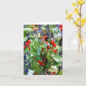 トマト カード (黄色い花)