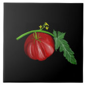 トマト タイル (正面)