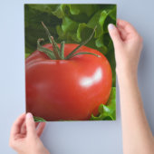 トマト チラシ (手)
