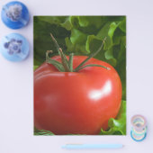 トマト チラシ (シングル)