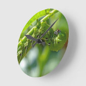 トマト・ホンワーム ラウンド壁時計 (傾斜)