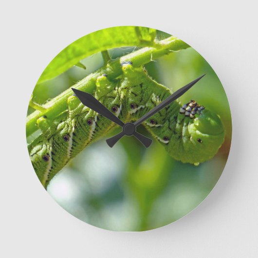 トマト・ホンワーム ラウンド壁時計 (正面)