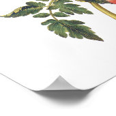 トマト ポスター (角)