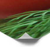 トマト ポスター (角)