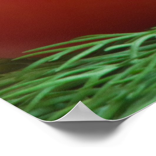 トマト ポスター (角)