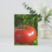 トマト ポストカード (スタンド正面)