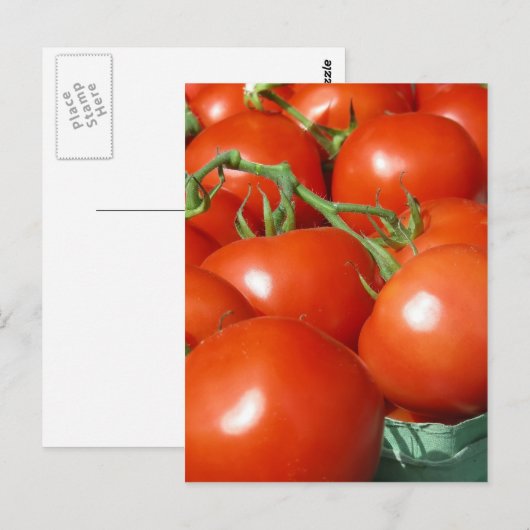 トマト ポストカード (正面/裏面)
