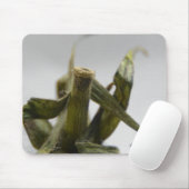 トマト マウスパッド (マウス)