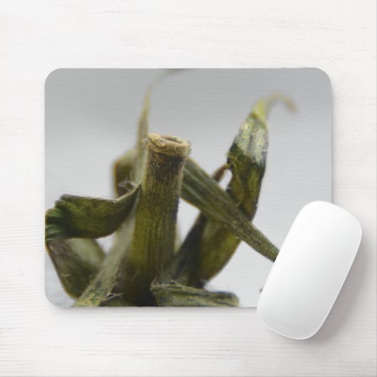 トマト マウスパッド (マウス)