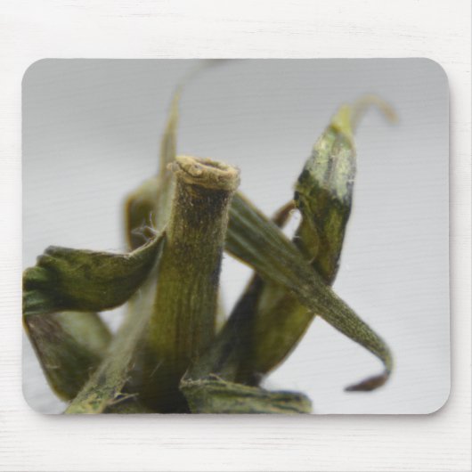 トマト マウスパッド (正面)