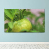 トマト（緑） キャンバスプリント (インサイチュ (ウッドフロア))