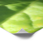 トマト（緑） ポスター (角)